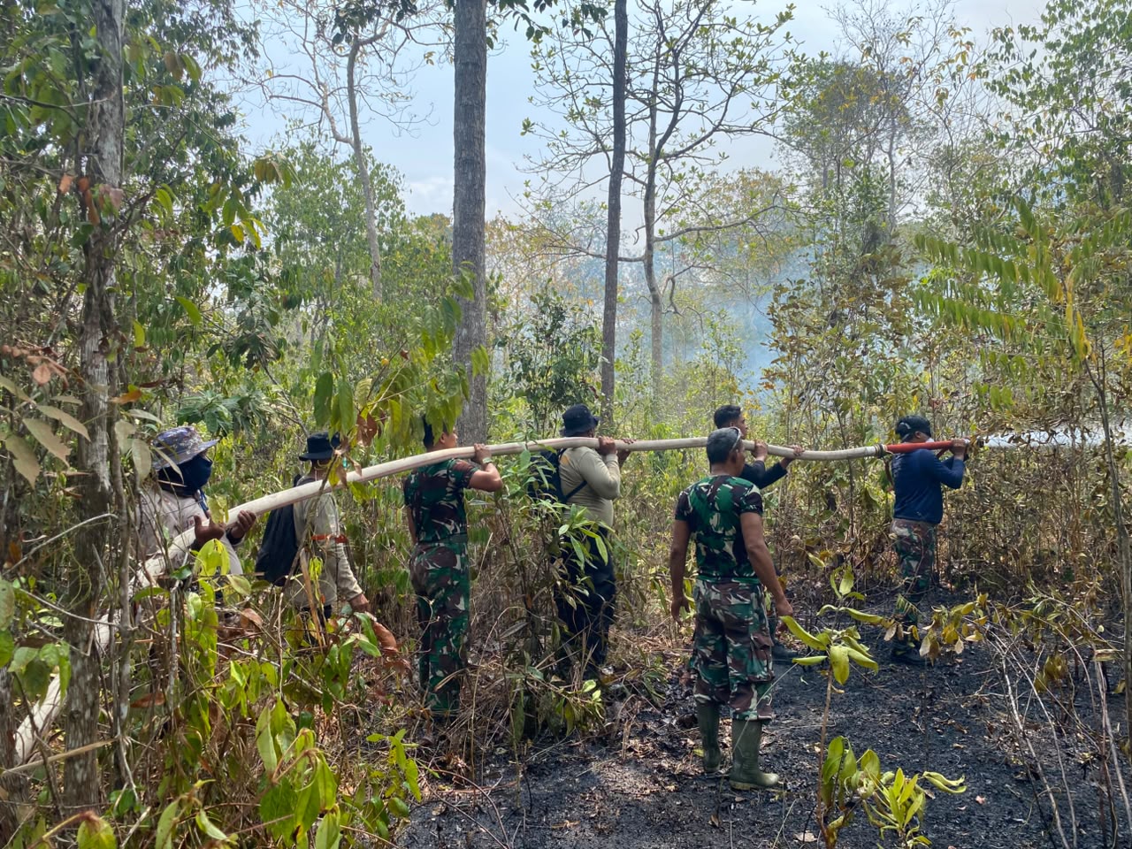 Foto, Hutan Perbatasan